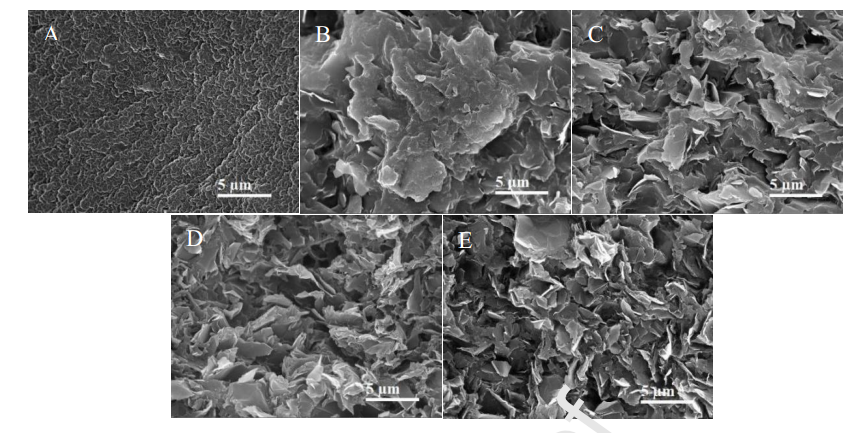 coating_microstructure_images