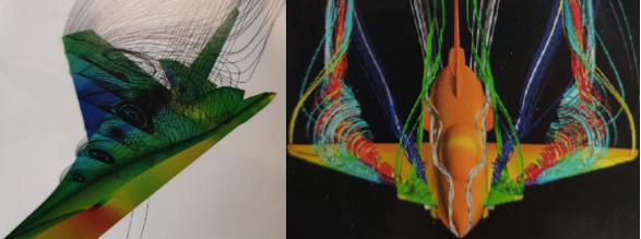 vortex_development_from_leading_edge_and_canard