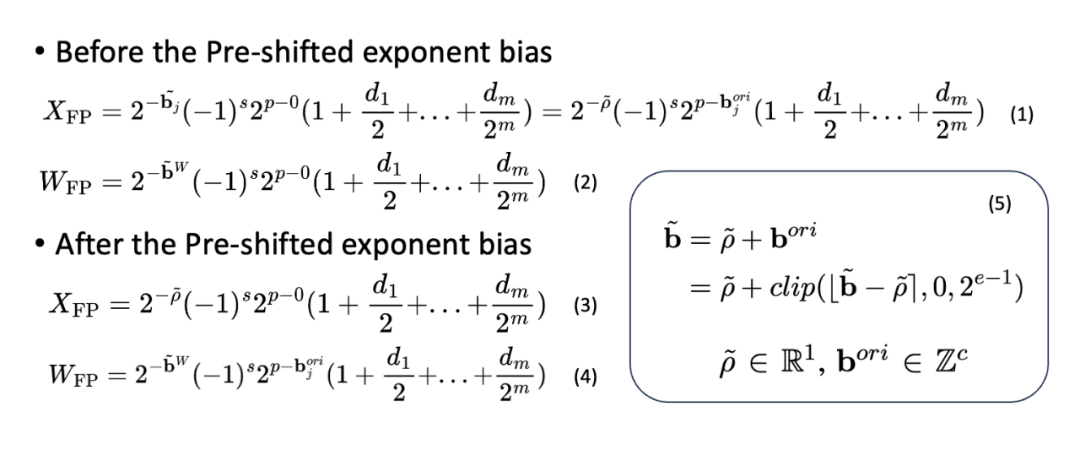 pre-shifted exponent bias integration into weights