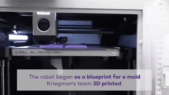 3D-printed mold filled with silicone for AI-designed robot