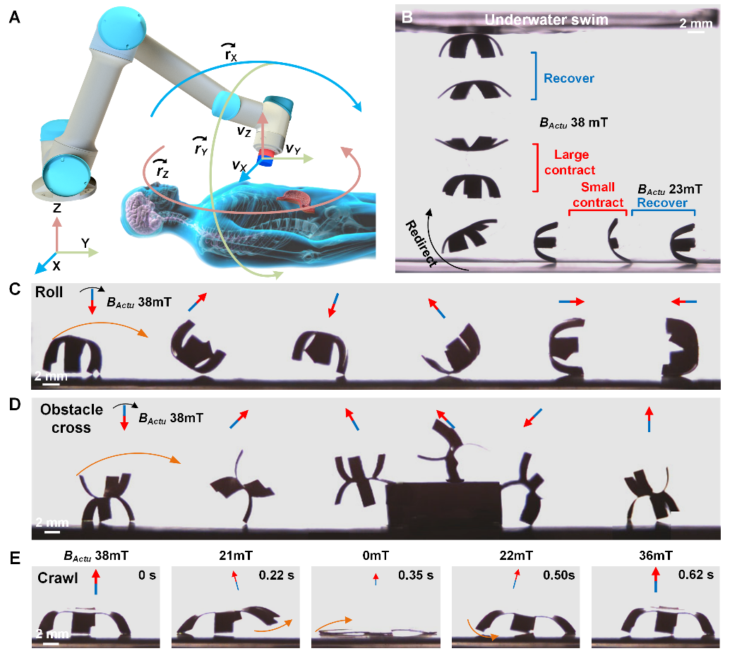 Multimodal robot motion