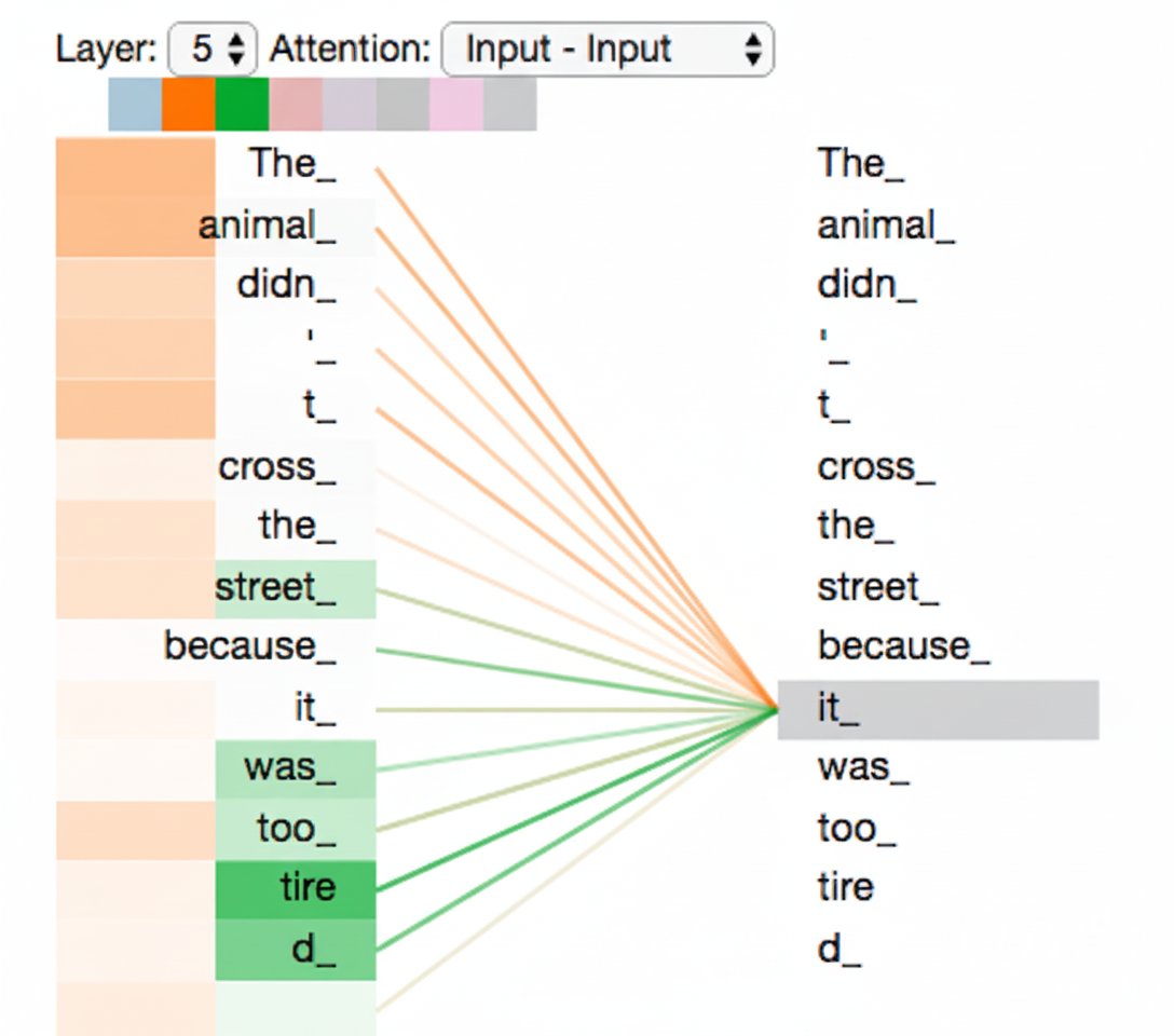 Attention heads focusing on different tokens