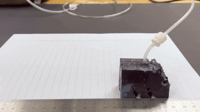 simulation of AI-designed soft robot walking