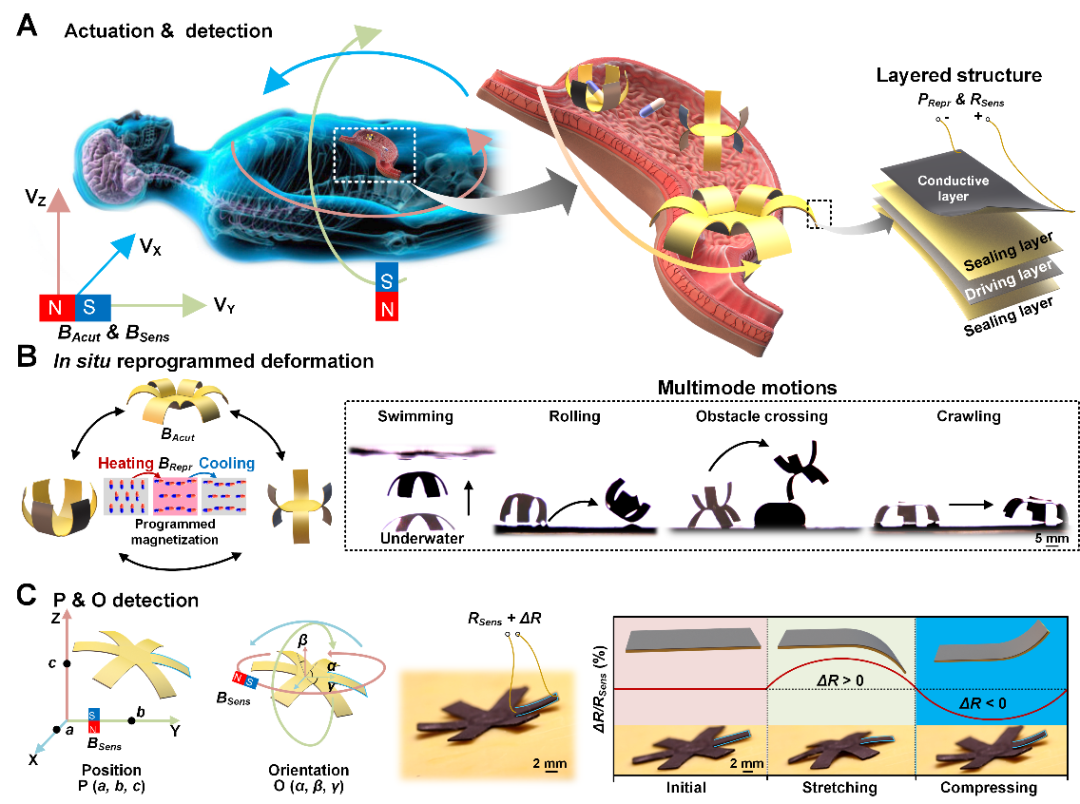 Integrated multimodal actuation and pose sensing
