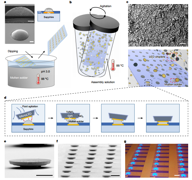 Figure 1: Schematic of FSA MicroLED lighting panel