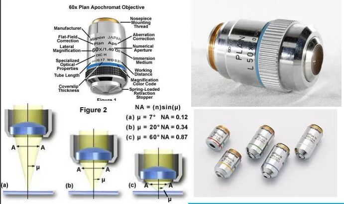 Objective Markings and Parameters