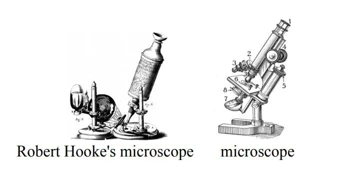 Microscopes