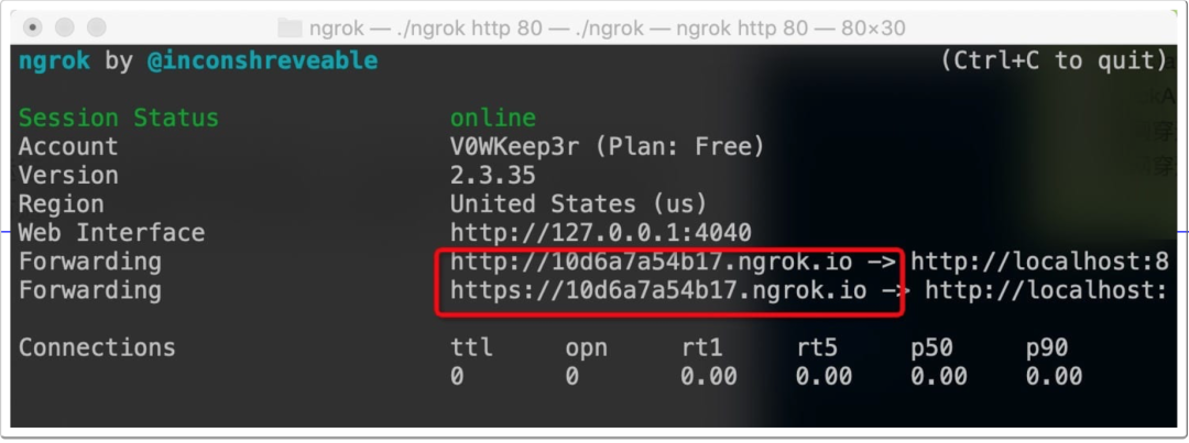 ngrok web interface