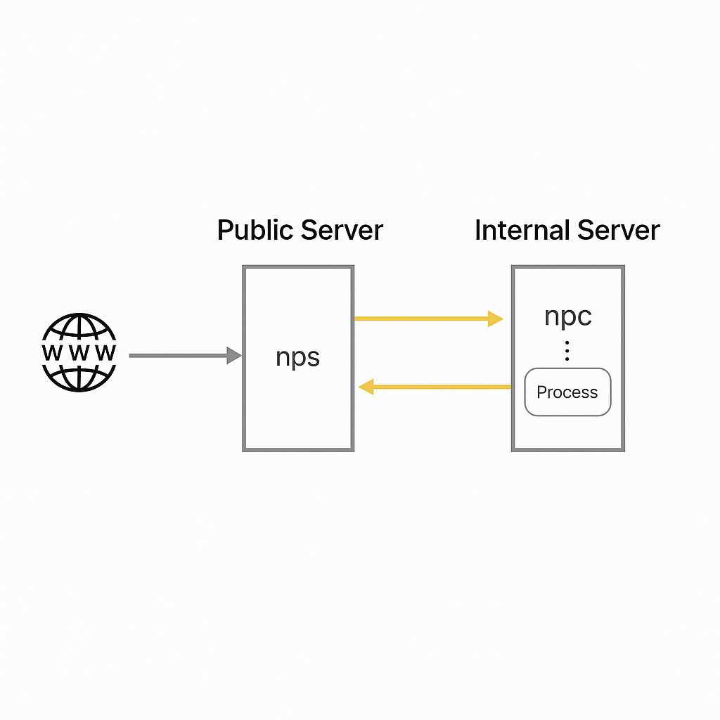 Common NAT Traversal Tools: Principles and Usage
