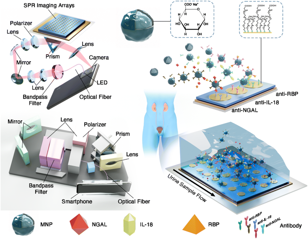 smartphone-spri-system-diagram