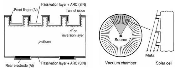 OECO_cell_groove_contacts