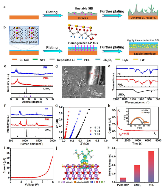 PHL coating schematic and characterization.png