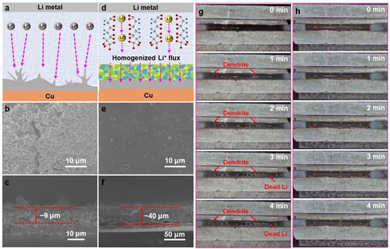 Morphology evolution on Cu vs PHL-Cu electrodes.png