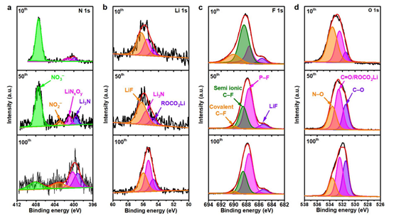 Charged Li-Ion Channels Suppress Dendrite Growth on Lithium Metal Anodes