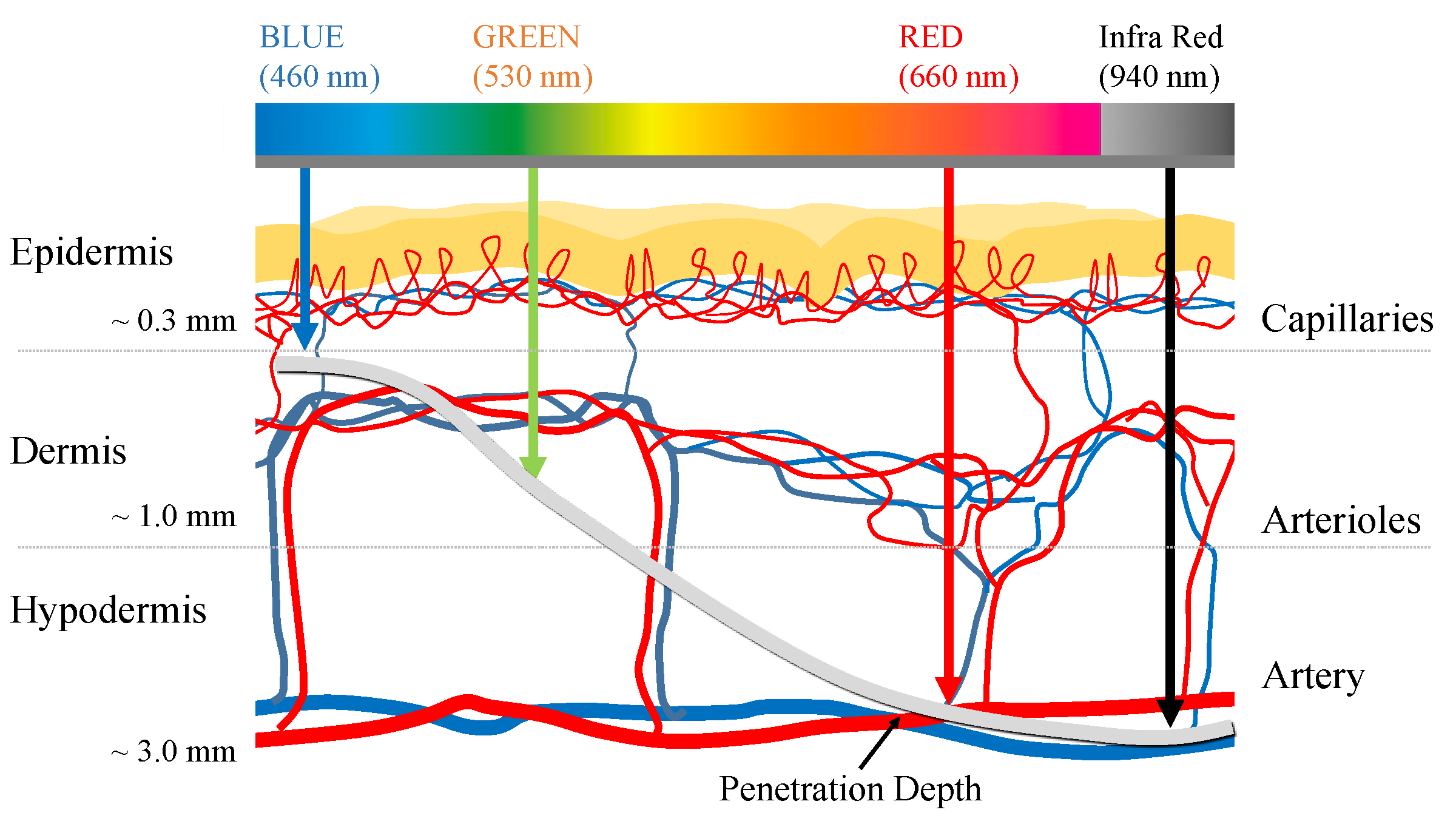 Multi-wavelength Optical Measurement for Beyond-SpO2 Monitoring