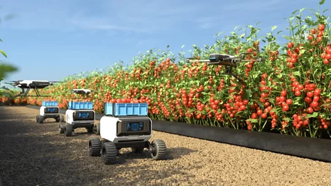 Power Management Strategies for Precision Agriculture PCBs: Optimizing Battery Life in Remote Sensors