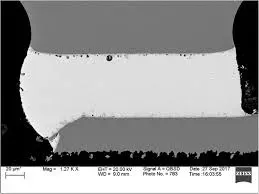 Lead-Free Solder Joint Cross-Section