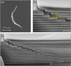 SEM Image of Via Delamination