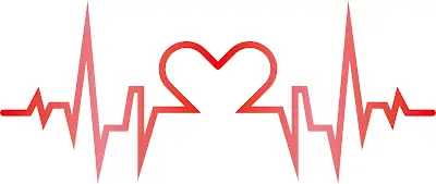 ECG Signal Acquisition and Classification Methods