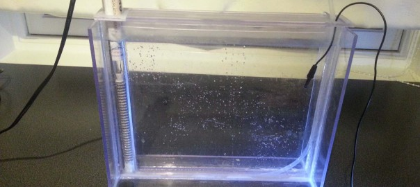 stirring or movement of the etchant solution