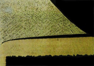 Microscopic view of a through-hole solder joint showing fillet formation