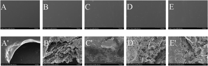 Microscopic view of PTFE laminate showing low-loss dielectric structure