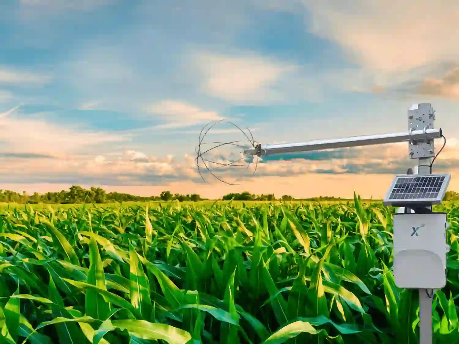 Agricultural Sensor in Field