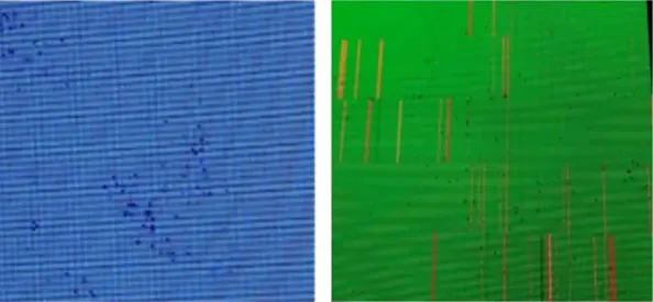 LED_moisture_damage_example