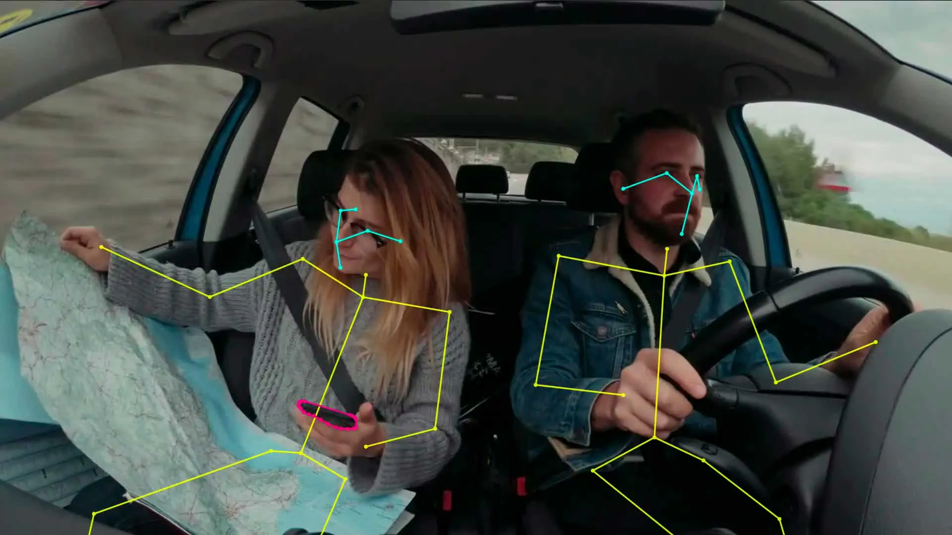 In-cabin cameras for driver monitoring