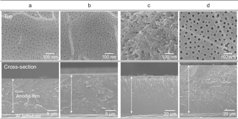 Side-by-side cross-section of anodized aluminum (thin, dense oxide layer integrated into the metal)