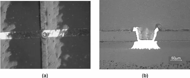 Cross sectional view of a failed microvia under inspection