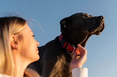 pic about pet owner with her dog