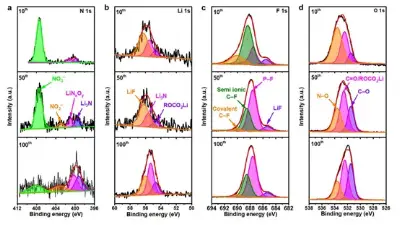 Charged Li-Ion Channels Suppress Dendrite Growth on Lithium Metal Anodes