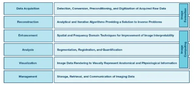 Medical image processing thematic classification