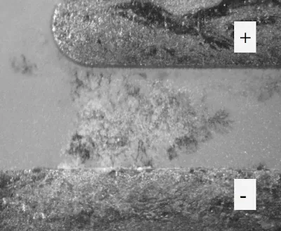 SEM Image of Non-functional Pads